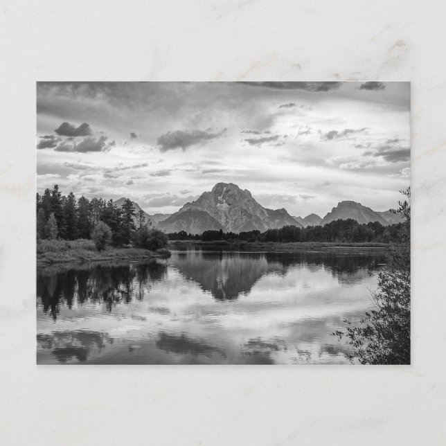 Oxbow Bend in Grand Teton National Park Postcard (Front)