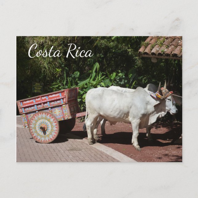 Oxcart, Costa Rica Postcard (Front)