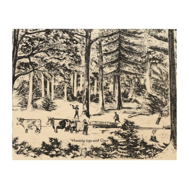 "Oxen haul" Wood Wall Decor (Front)