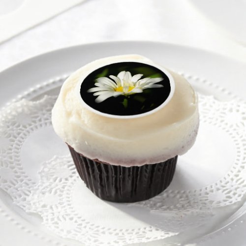 Oxeye Daisy Edible Frosting Rounds