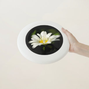 Oxeye Daisy Frisbee
