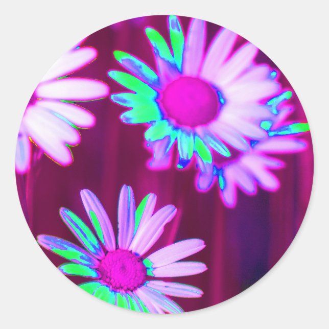 Oxeye Daisy Meadow Pop Art Style Classic Round Sticker (Front)