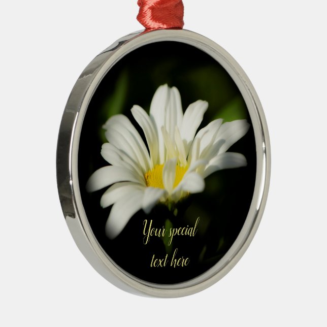 Oxeye Daisy Premier Round Ornament (Right)