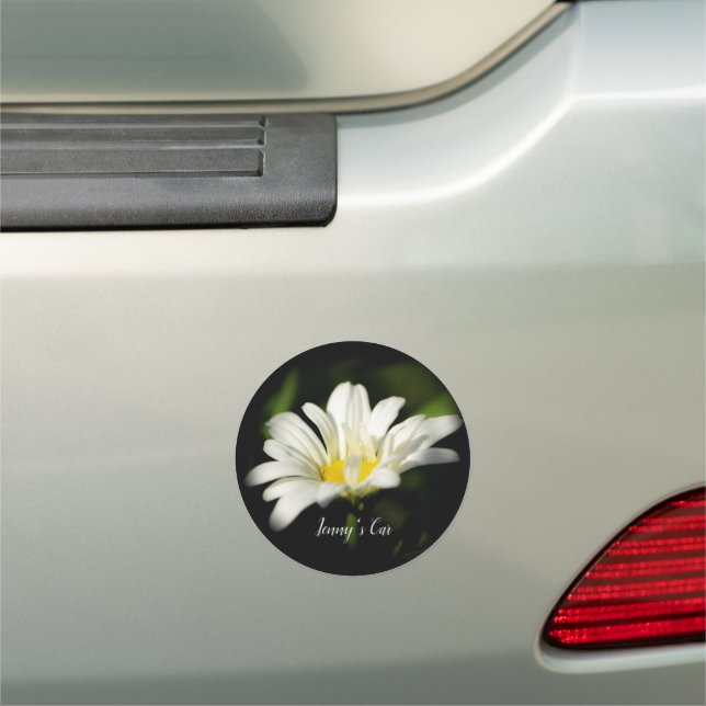 Oxeye Daisy Round Car Magnet (In Situ)