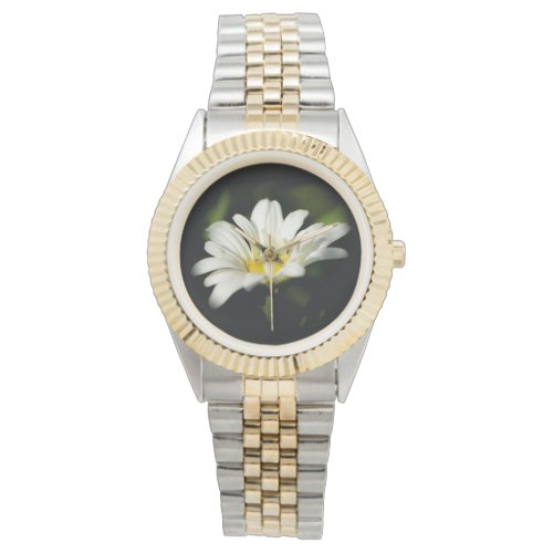 Oxeye Daisy Round Watch