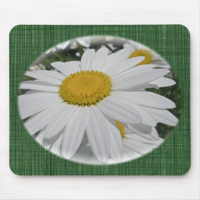 Oxeye Daisy Wildflower Floral Items Mouse Pad (Front)