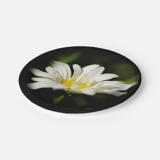 Oxeye Daisy Wildflower Paper Plate (Angled)