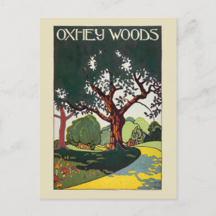 Oxhey Woods Vintage Poster 1915 Postcard