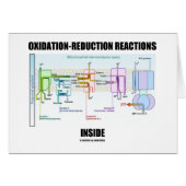 Oxidation-Reduction Reactions Inside (Front Horizontal)