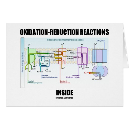 Oxidation-Reduction Reactions Inside