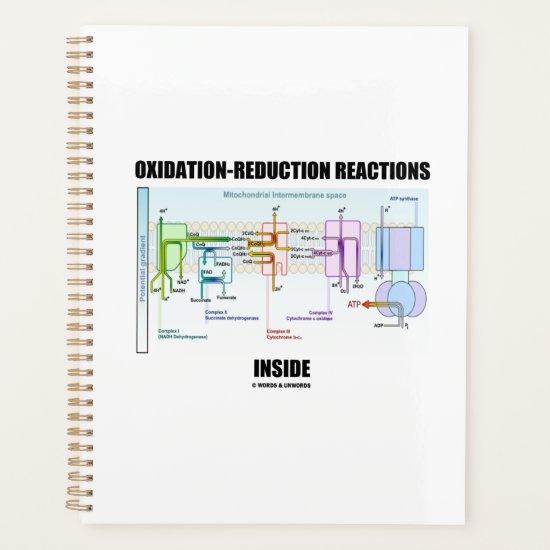 Oxidation-Reduction Reactions Inside Planner