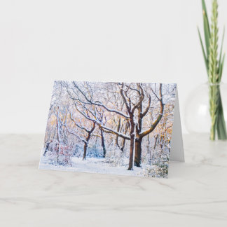Oxleas Wood Holiday Card
