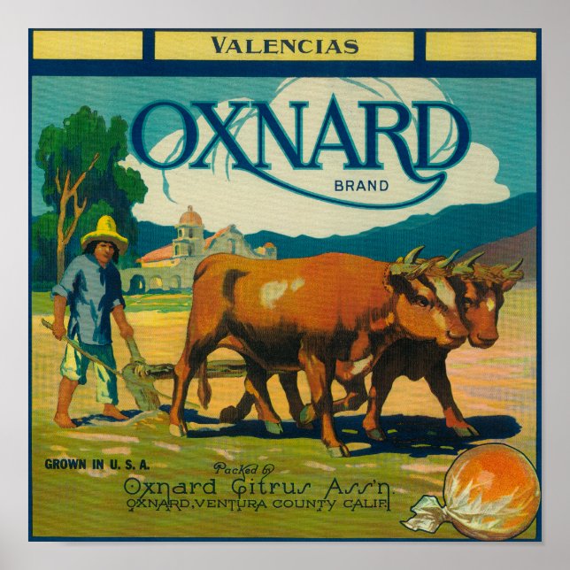 Oxnard Orange LabelOxnard, CA Poster (Front)