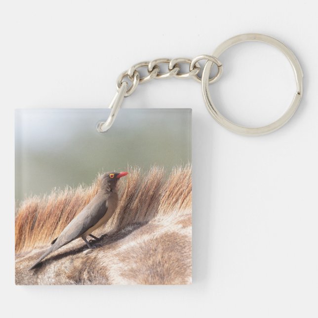 Oxpecker on a giraffe keychain (Back)