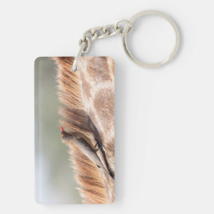 Oxpecker on a giraffe keychain