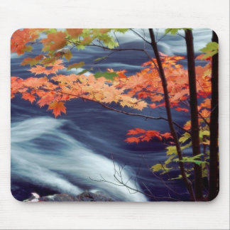Oxtongue River, Ontario, Canada Mouse Pad