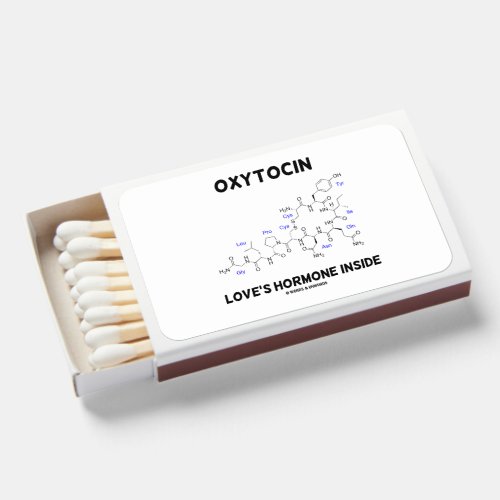 Oxytocin Loves Hormone Inside Chemistry Matchboxes