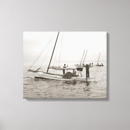 Oyster Boats 1903 Canvas Print