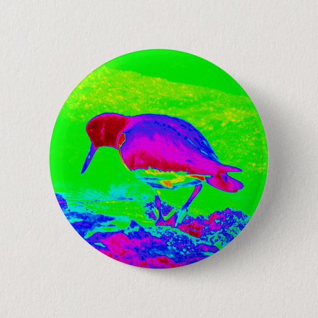 Oyster Catcher Button (Front)