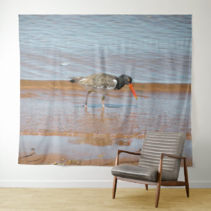 Oyster Catcher Rare Bird Photo Tapestry