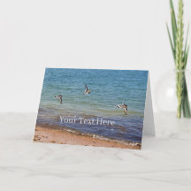 Oyster Catchers in Flight Personalised