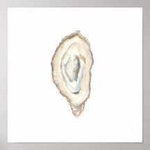 Oyster Print