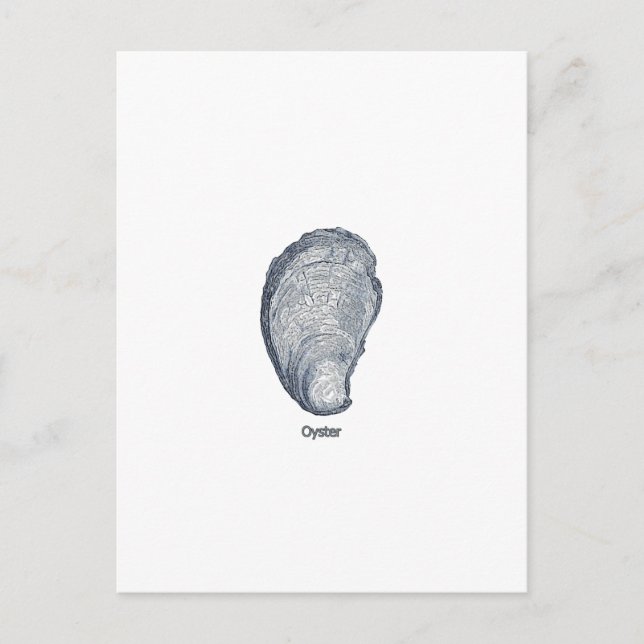 Oyster Shell Logo Postcard (Front)