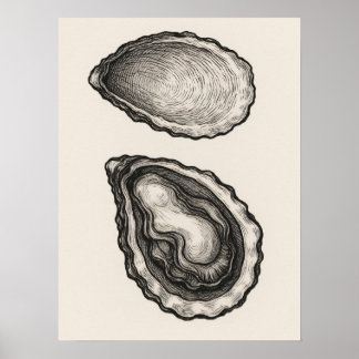 Oyster Shell Minimalist Coastal Sketch Art Poster