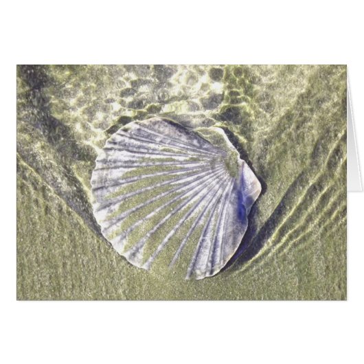 Oyster Shell Underwater Cards (Front Horizontal)