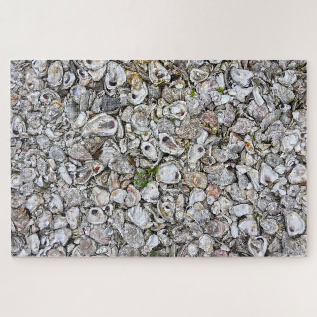 Oyster Shells, Apalachicola, Florida Jigsaw Puzzle (Horizontal)