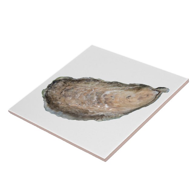 Oyster Tile - Design D White (Side)