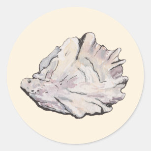 Oyster Watercolor Classic Round Sticker