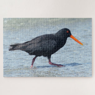 OYSTERCATCHER 20x30 INCH Jigsaw Puzzle