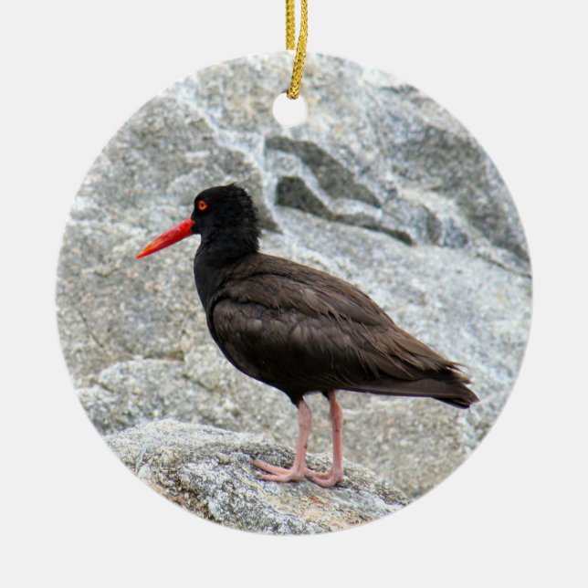 Oystercatcher Ceramic Ornament (Front)
