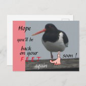 Oystercatcher Get Well Soon Humor Postcard (Front/Back)