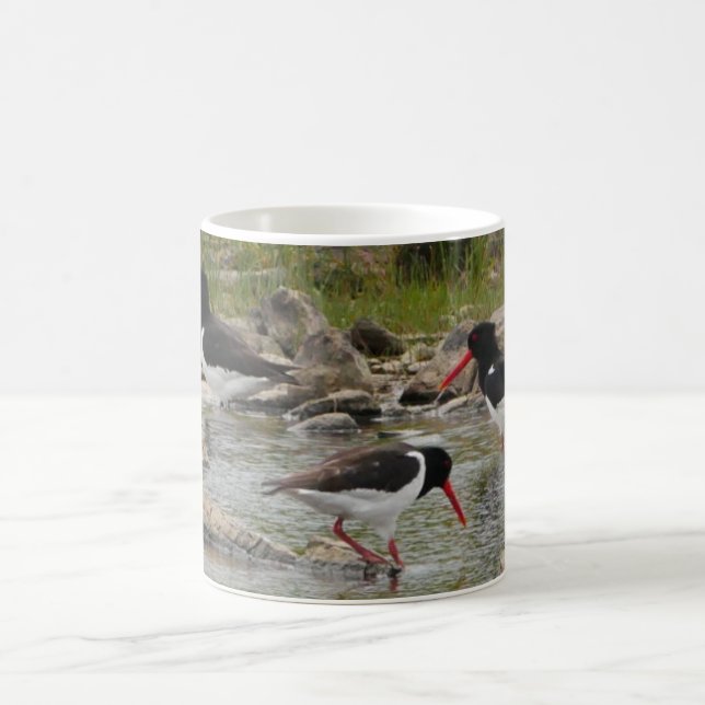 Oystercatchers Mug (Center)