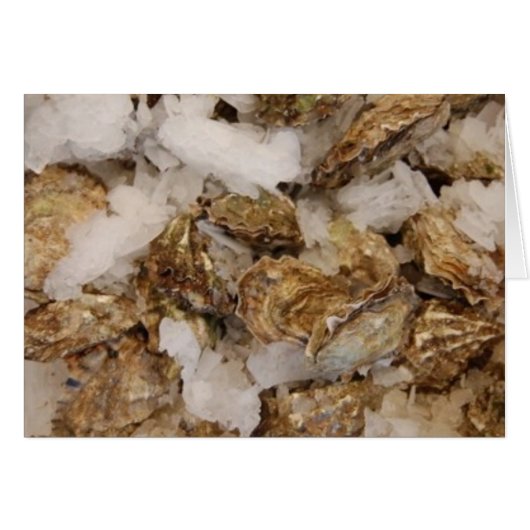 oysters cards (Front Horizontal)