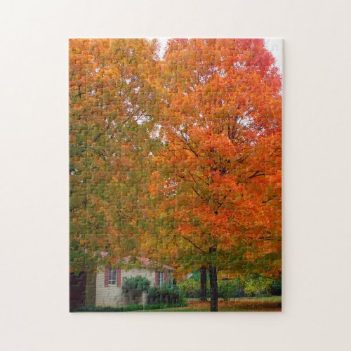 Ozark Arkansas Jigsaw Puzzle