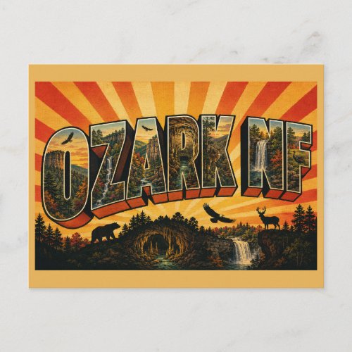 Ozark National Forest AR Vintage Travel Art Postcard