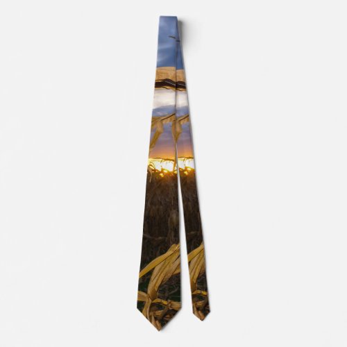 Ozarks Harvest Neck Tie