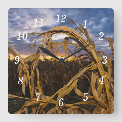 Ozarks Harvest Wall Clock