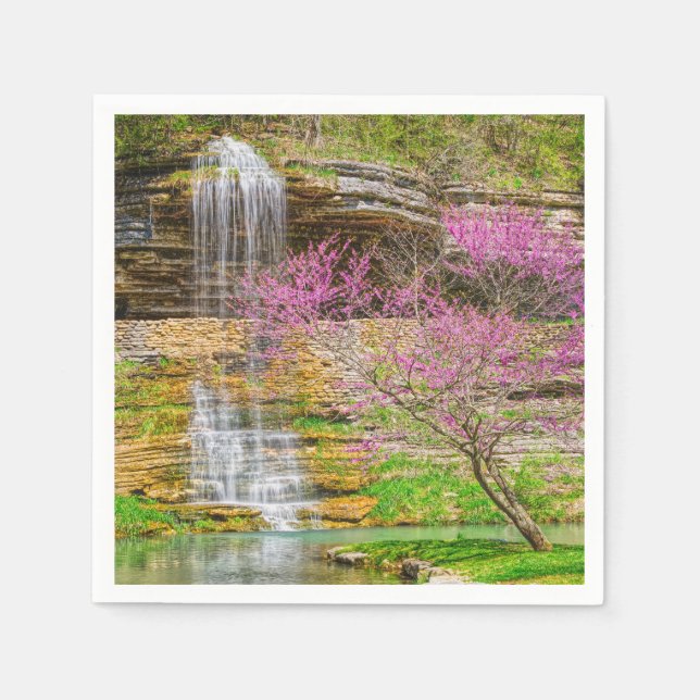 Ozarks Waterfall Spring Bluff Napkins (Front)