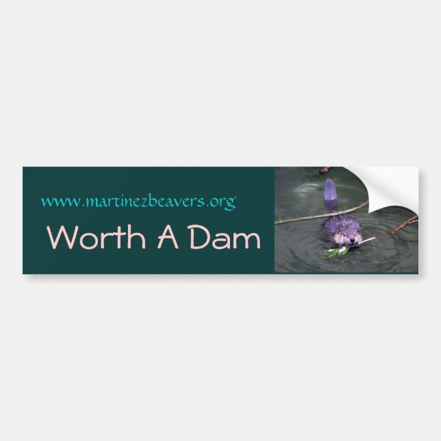 P1000945, Worth A Dam, www.martinezbeavers.org Bumper Sticker (Front)