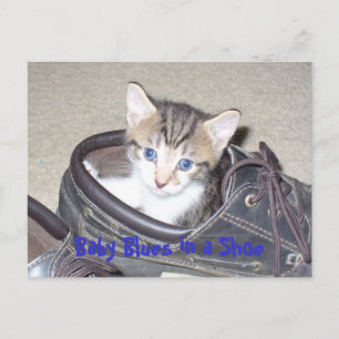 P1020640_153_153, Baby Blues in a Shoe Postcard