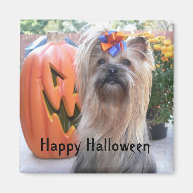 P1080884, Happy Halloween Magnet (Front)