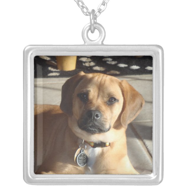 P1090068puggle necklace (Front)