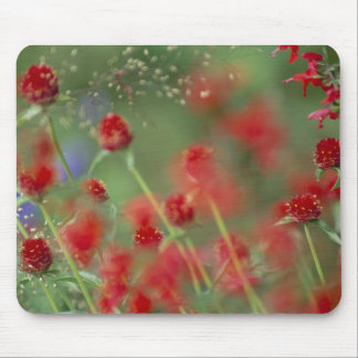 P2290C_strawberry ghomphera_zazzle Mouse Pad