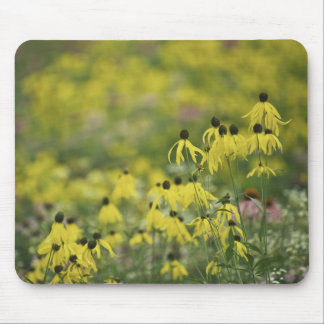 P2526a_yellow coneflower monet_zazzle mouse pad
