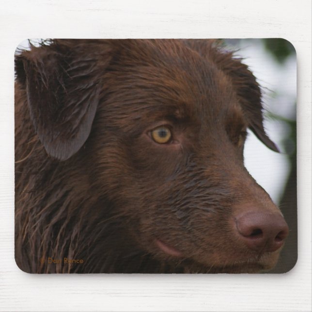 P2a Red Dog Sam Flatlandersam Up Close Mouse Pad (Front)