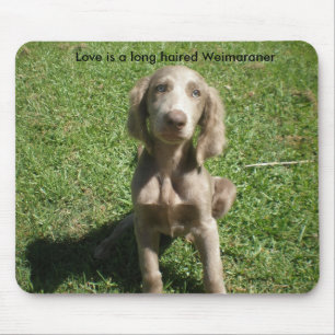P3091298, Love is a long haired Weimaraner Mouse Pad